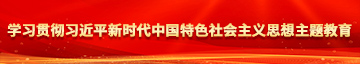 看操鸡巴视频学习贯彻习近平新时代中国特色社会主义思想主题教育